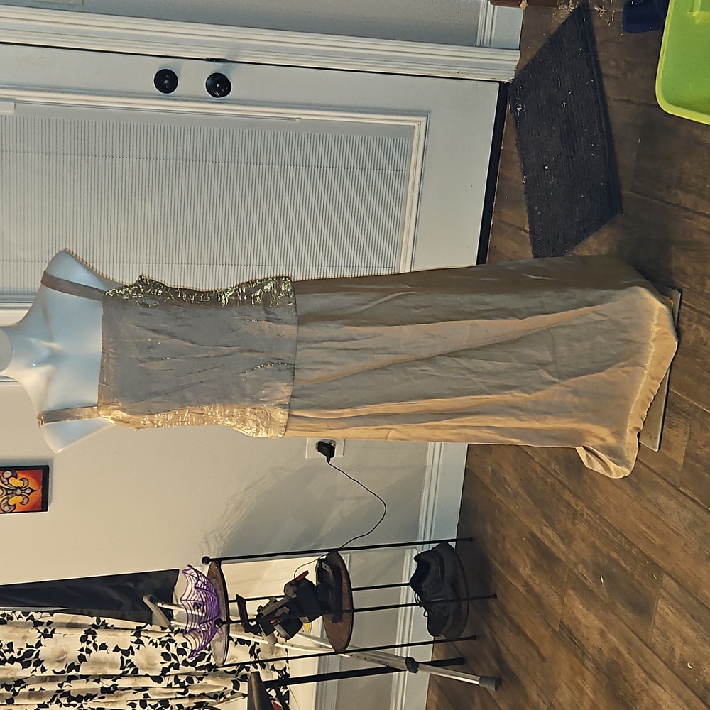 Gorgeous Evening Gown